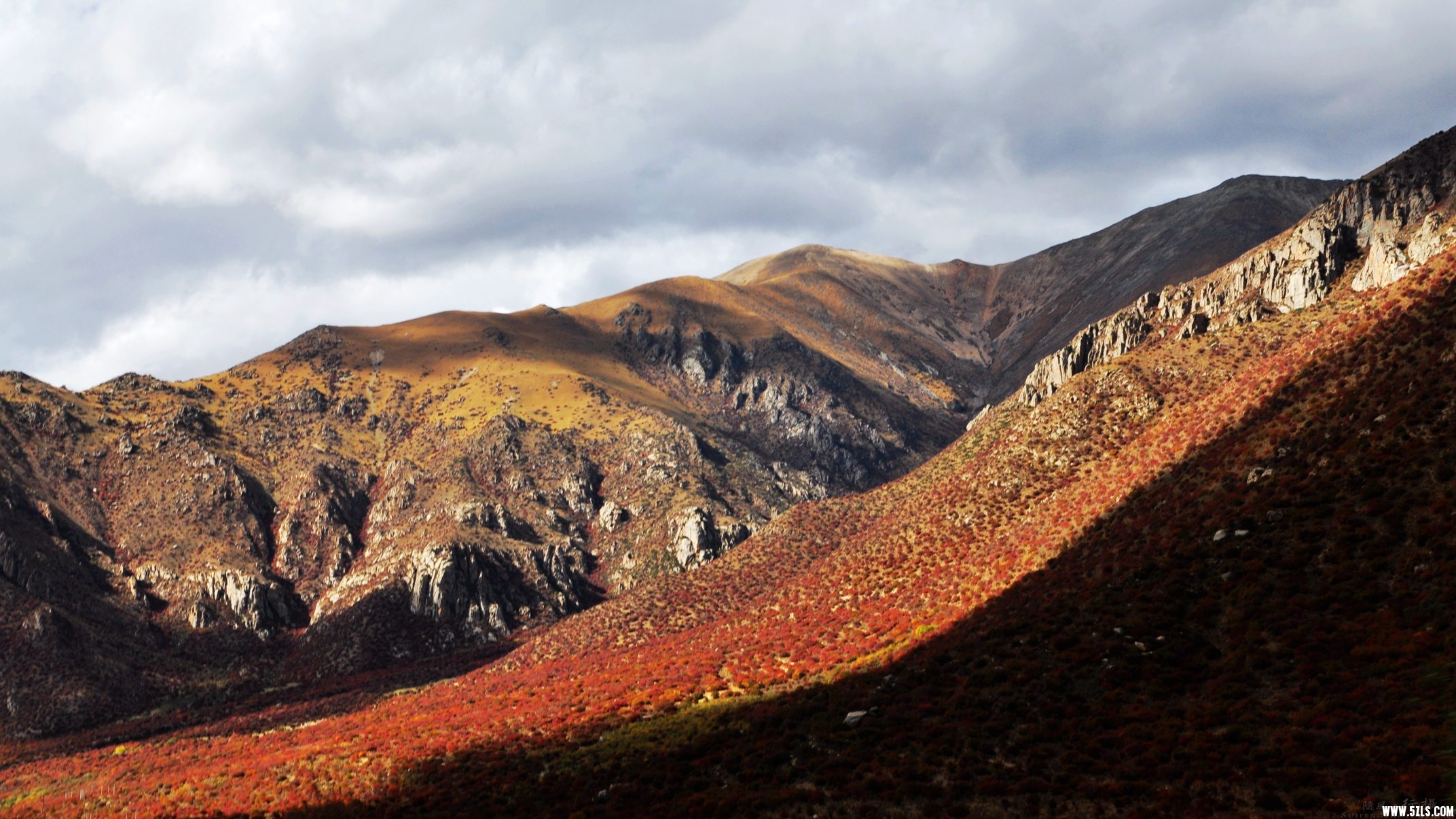 DSC_0045.jpg