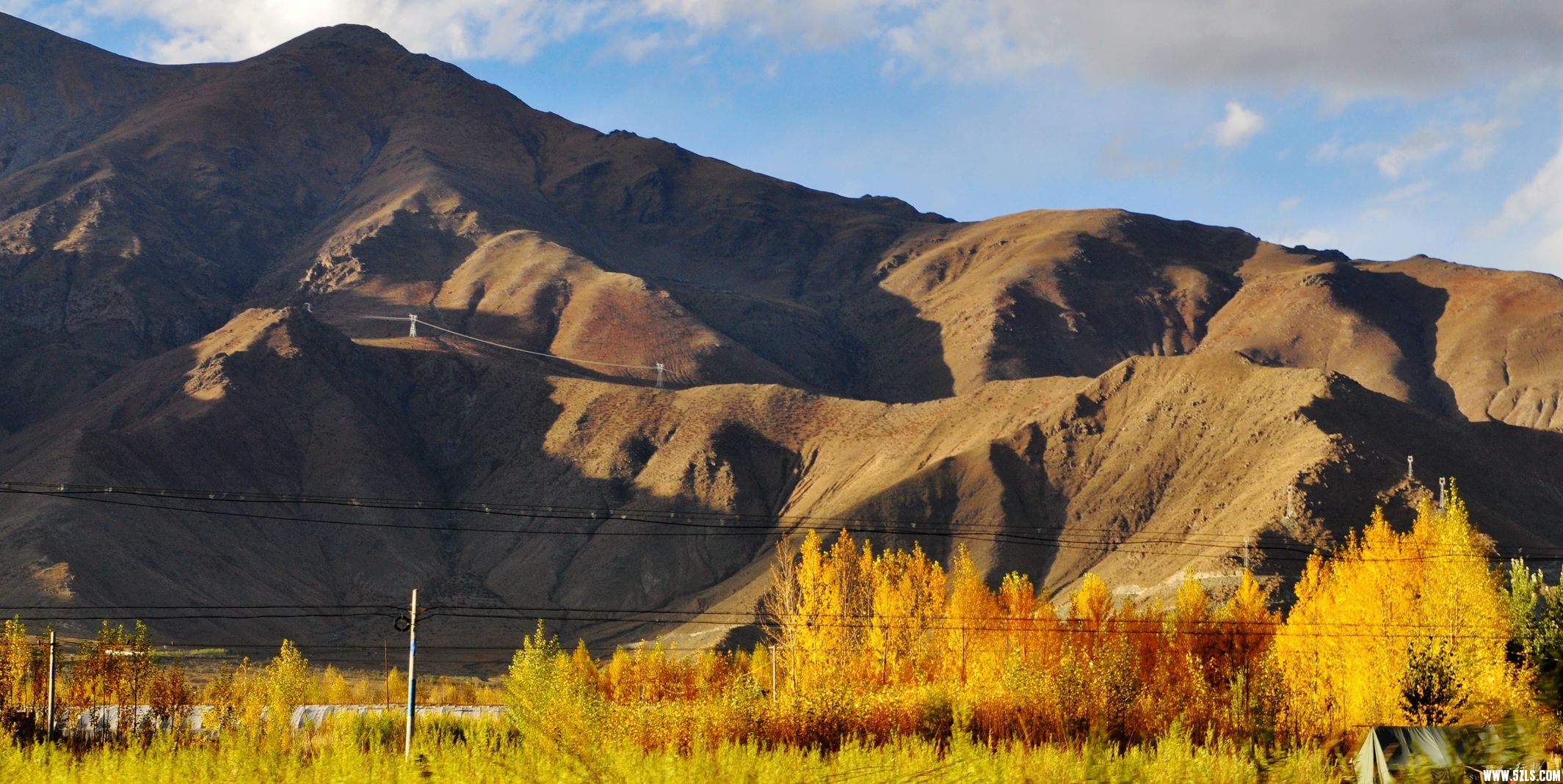 DSC_0239.jpg