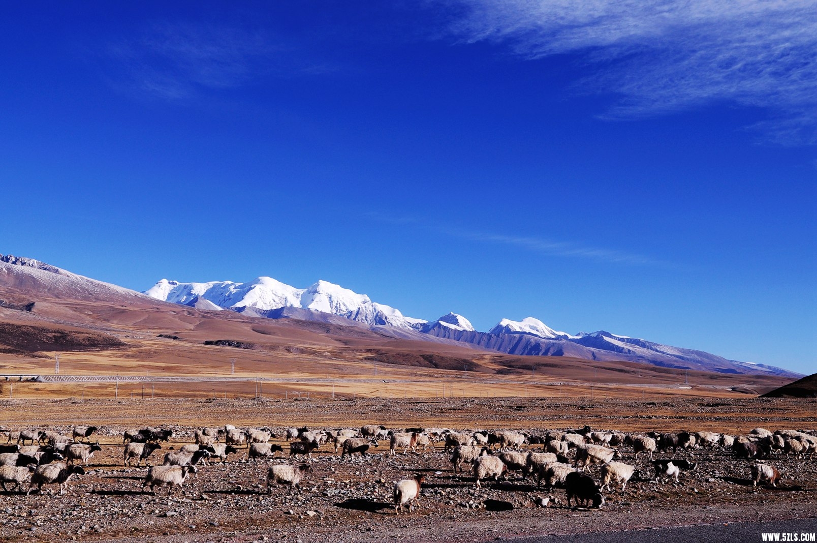DSC_0896.jpg