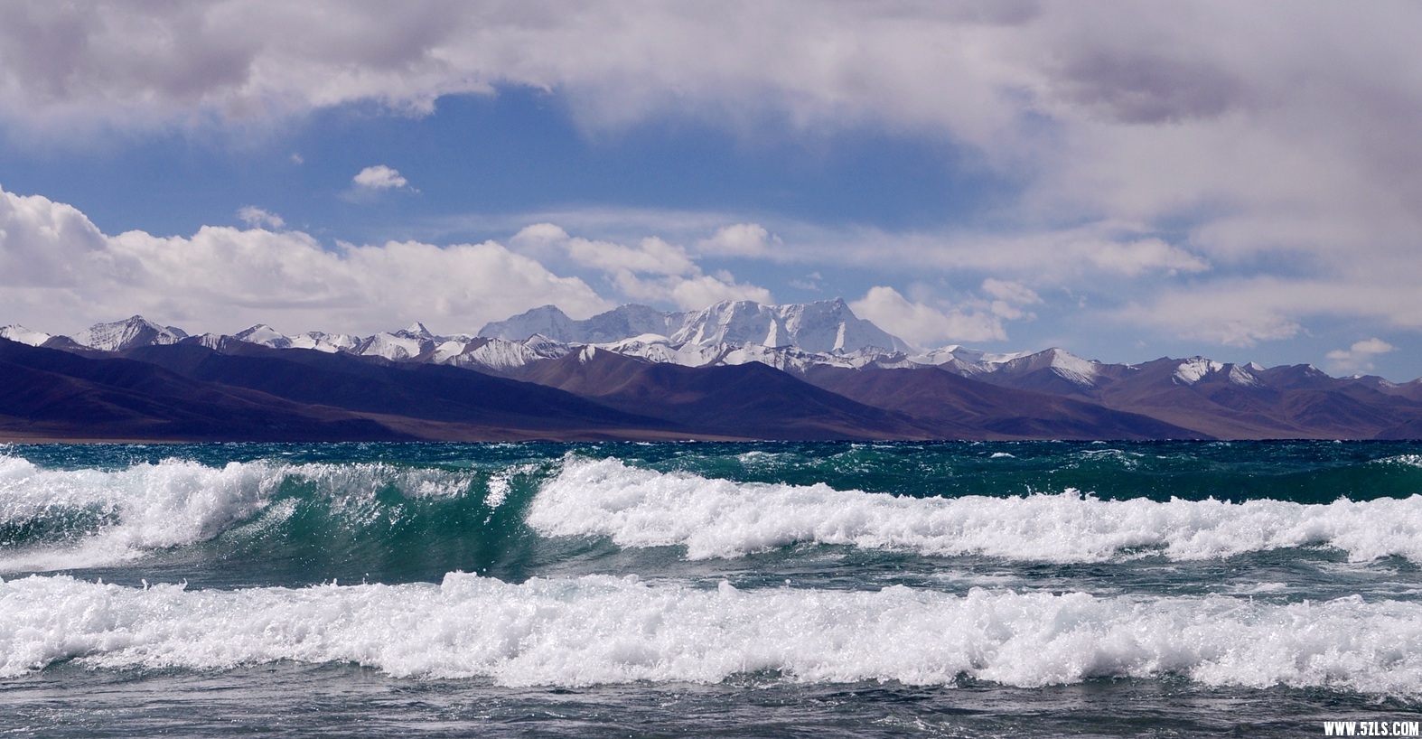DSC_1022.jpg