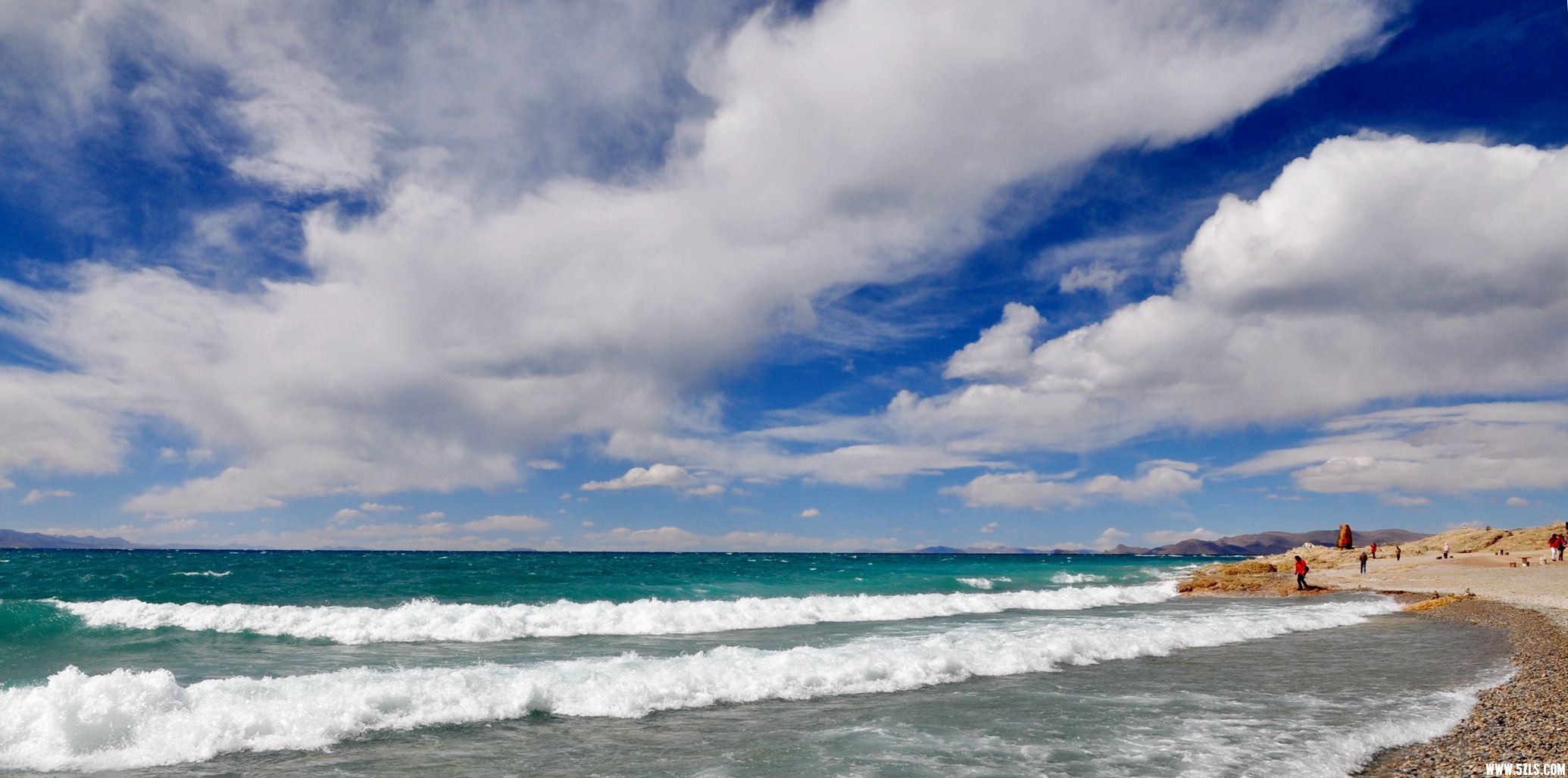 DSC_0008.jpg
