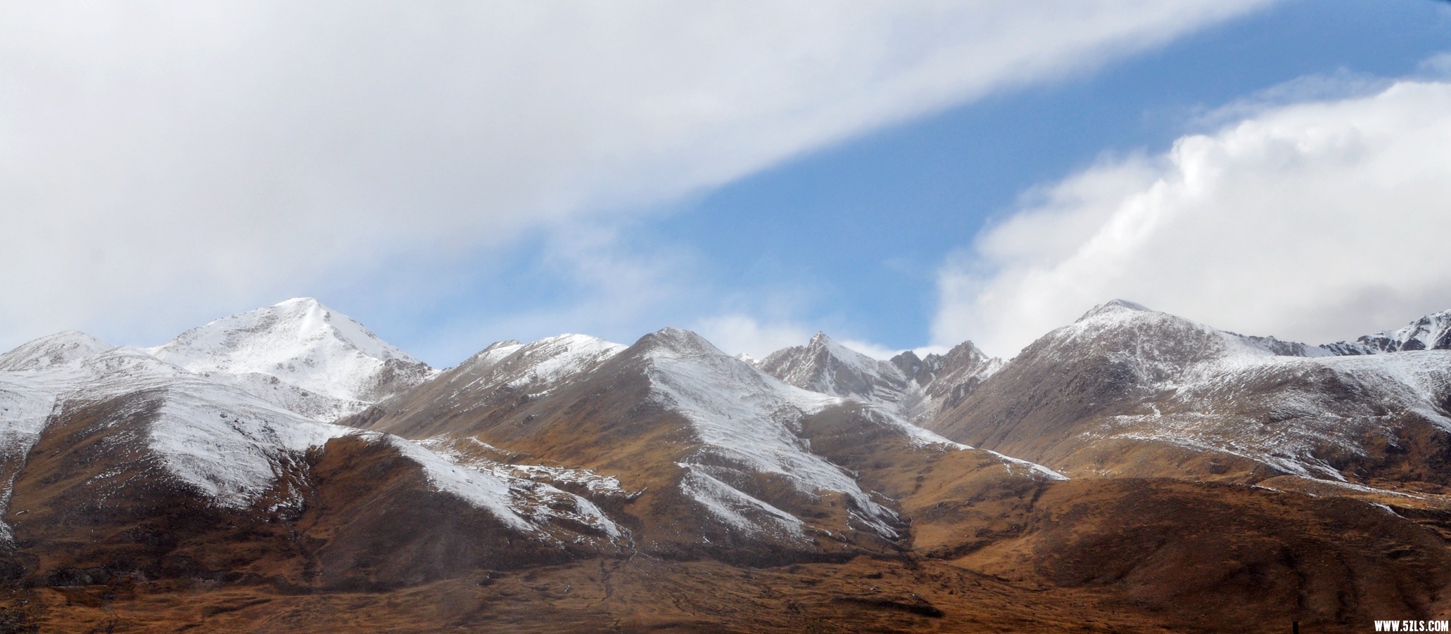 DSC_0126.jpg