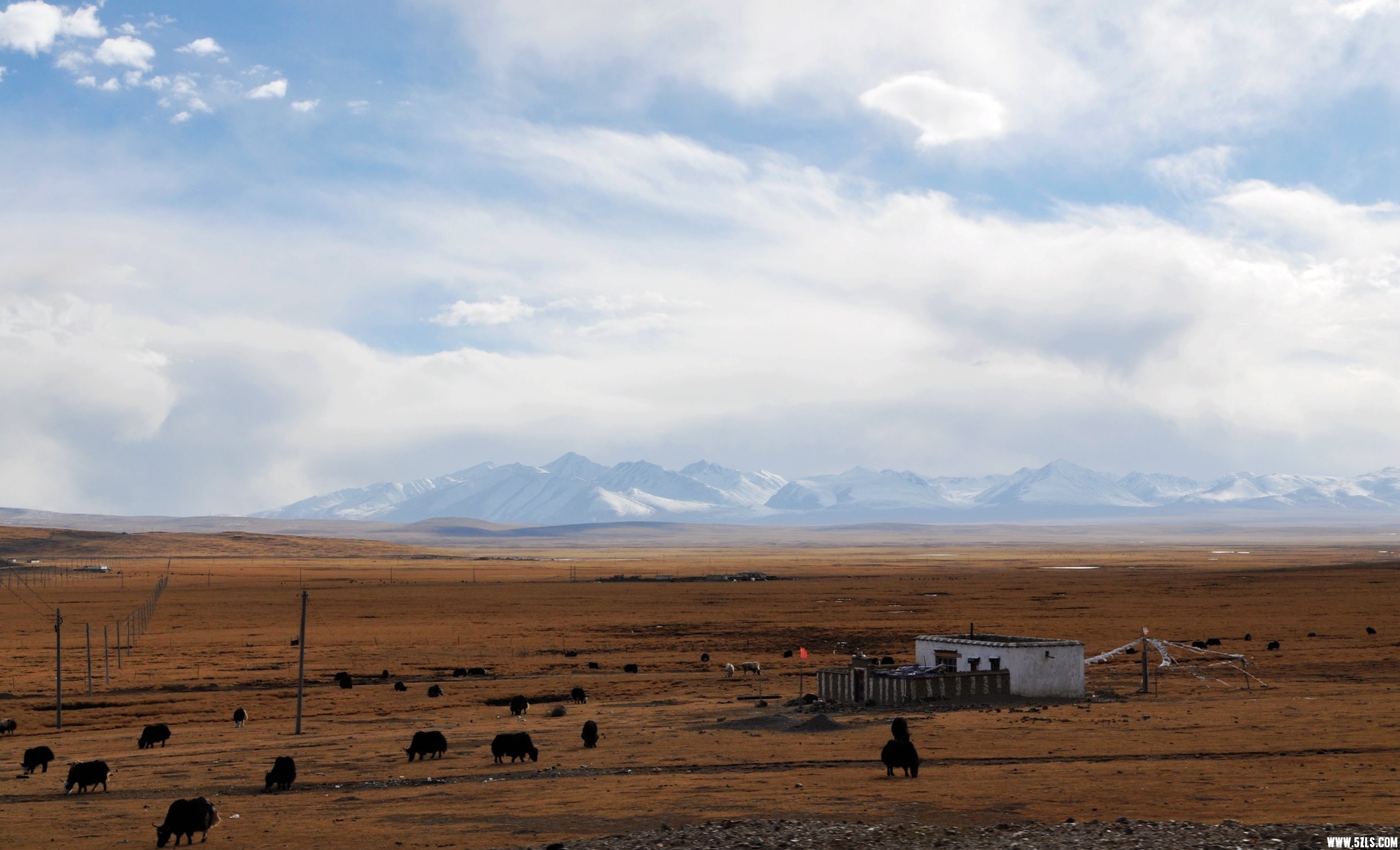 DSC_0182.jpg