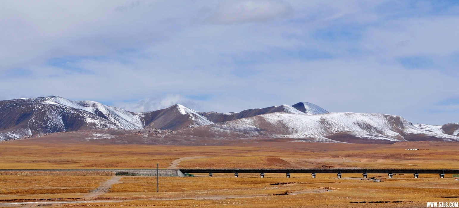 DSC_0306.jpg