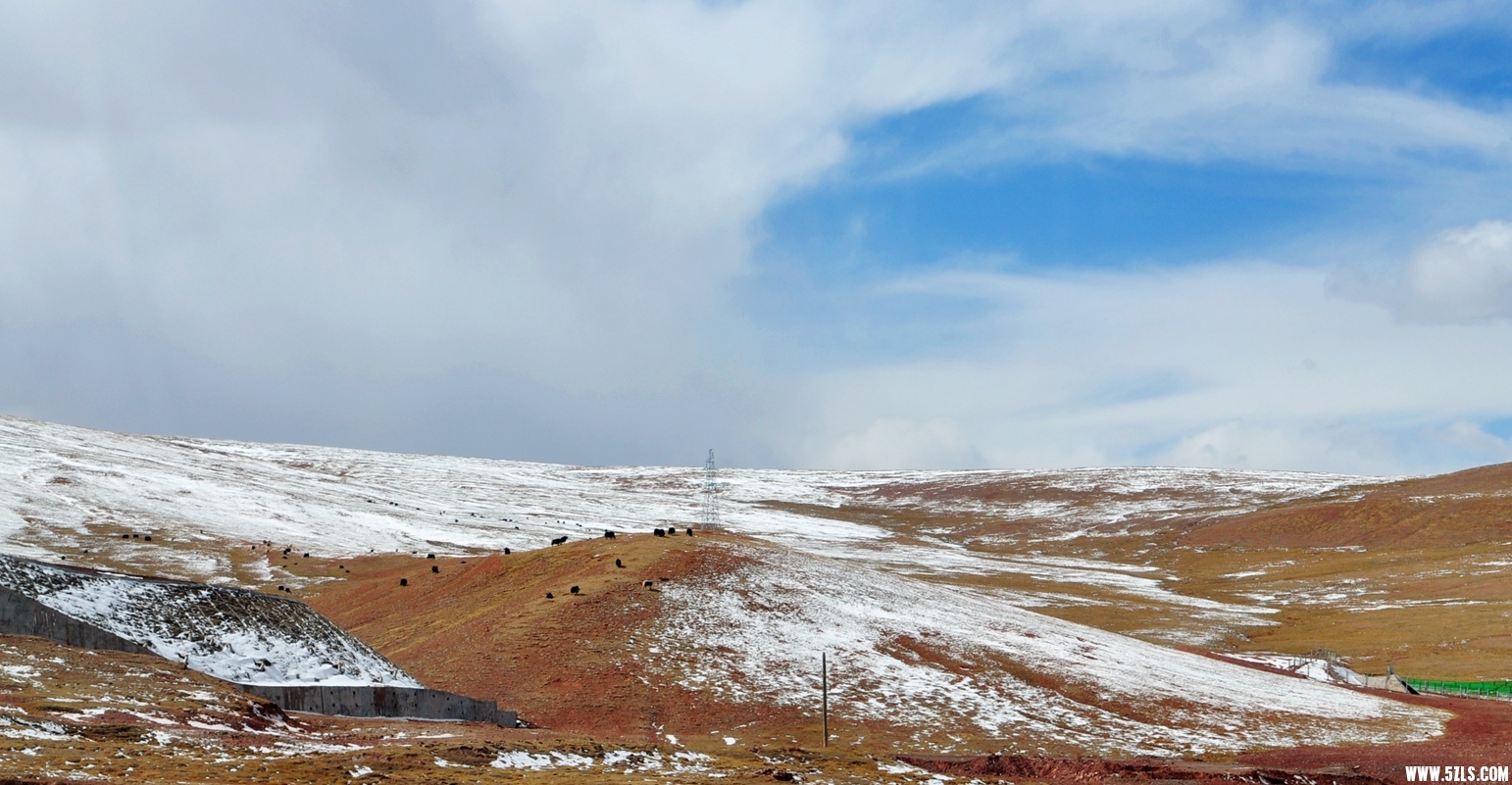 DSC_0376.jpg