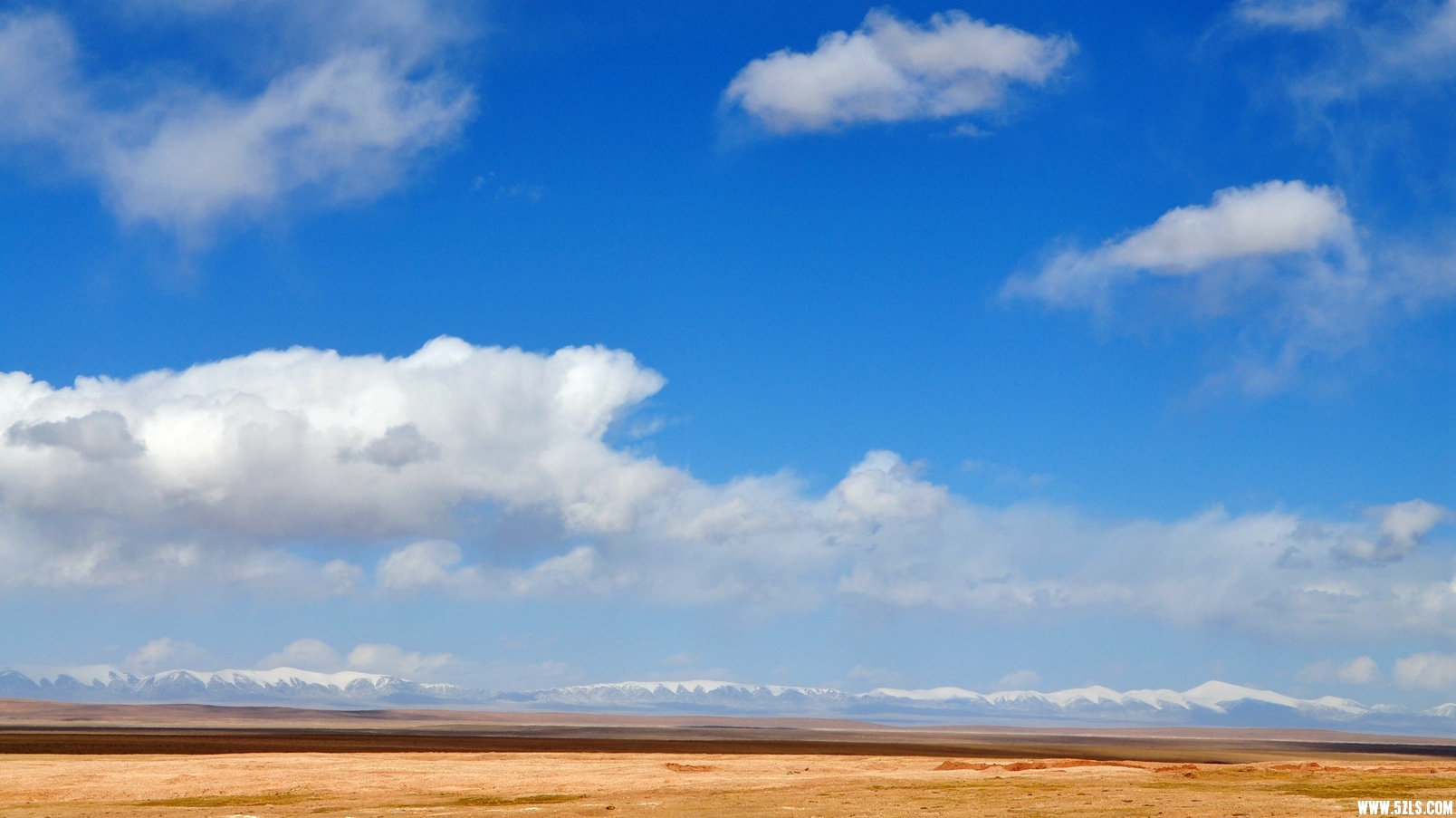 DSC_0387.jpg
