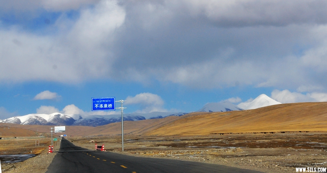 DSC_0465.jpg