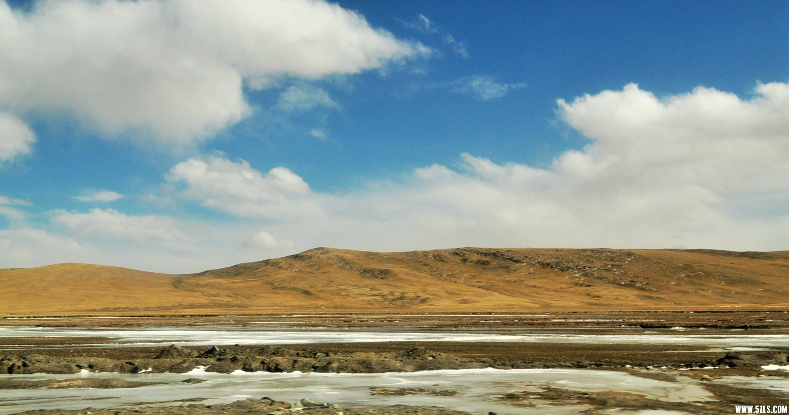 DSC_0469.jpg