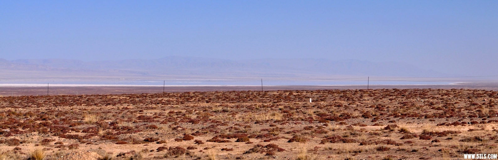 DSC_0647.jpg