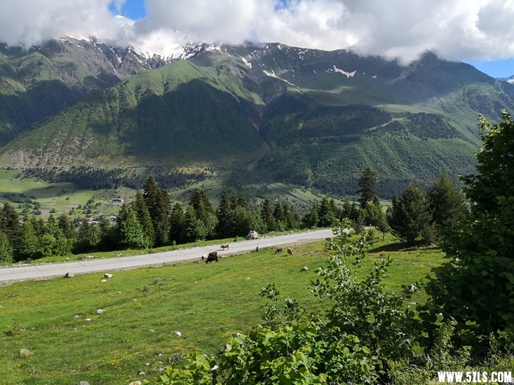 IMG_20180609_094031.jpg