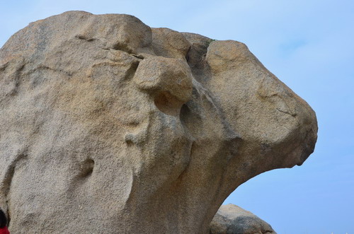 dsc_0024ab.jpg