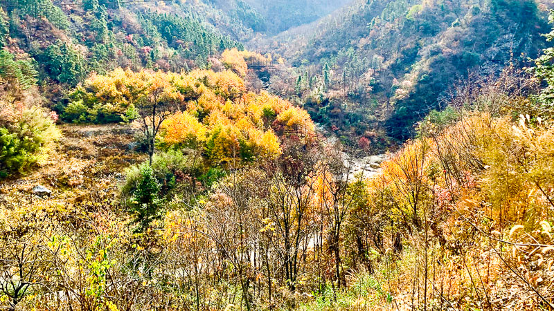 金寨-罗田-49.jpg
