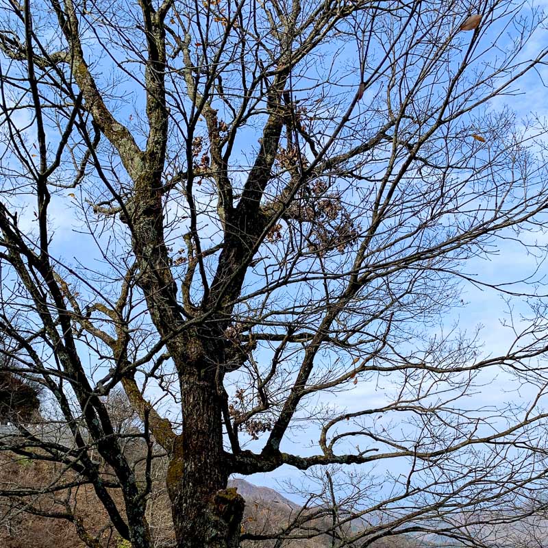 金寨-罗田-55.jpg
