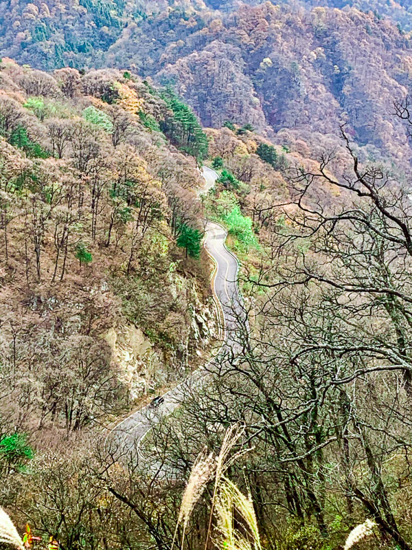 金寨-罗田-70.jpg