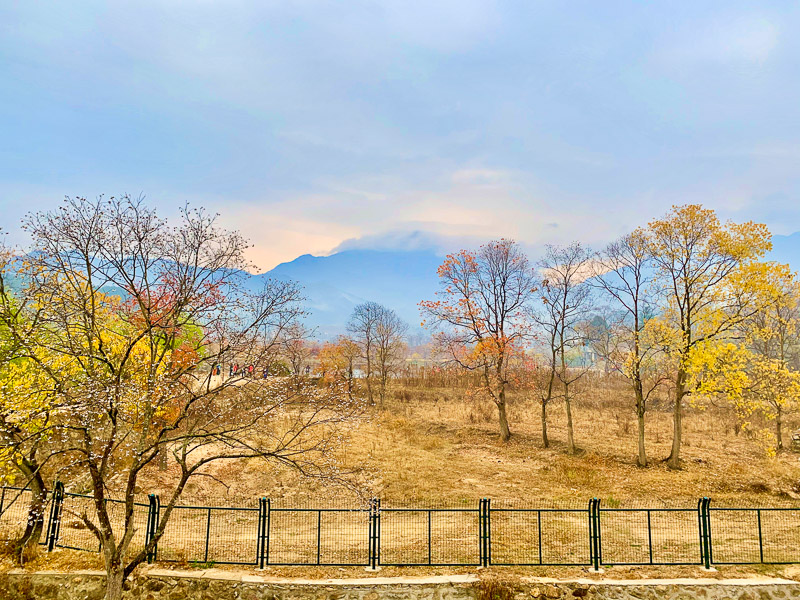 金寨-罗田-138.jpg