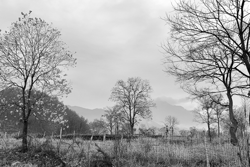 黑白-37.jpg