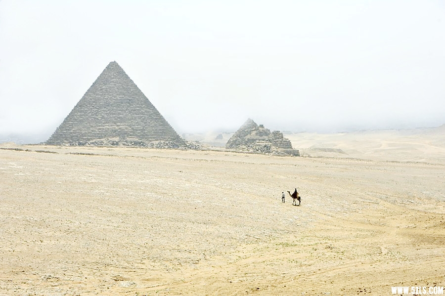 _DSC8550__.jpg