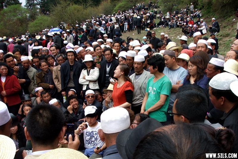 DSCF6134.jpg