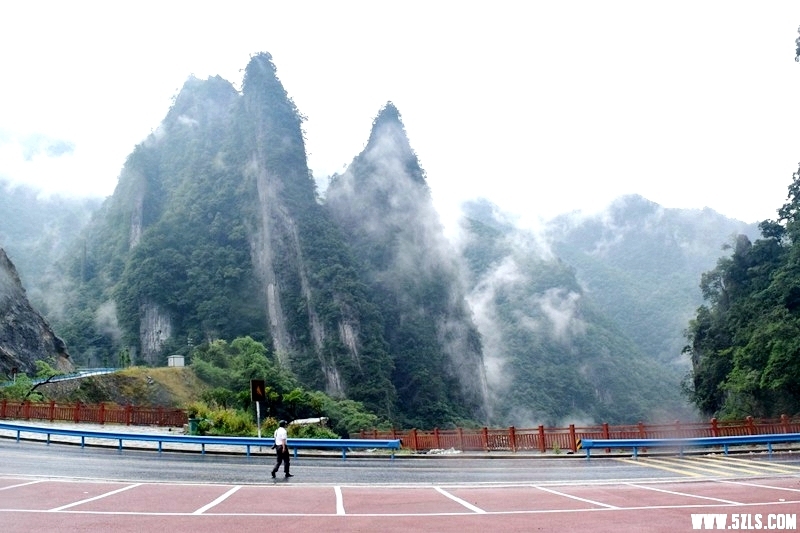 当阳w.jpg