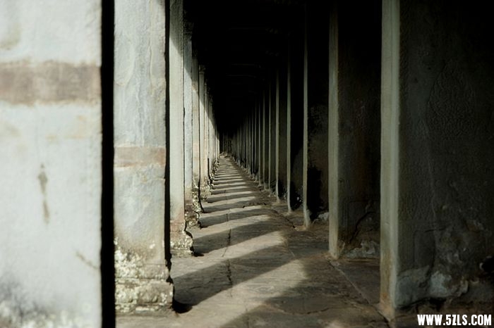 _DSC1303___.jpg