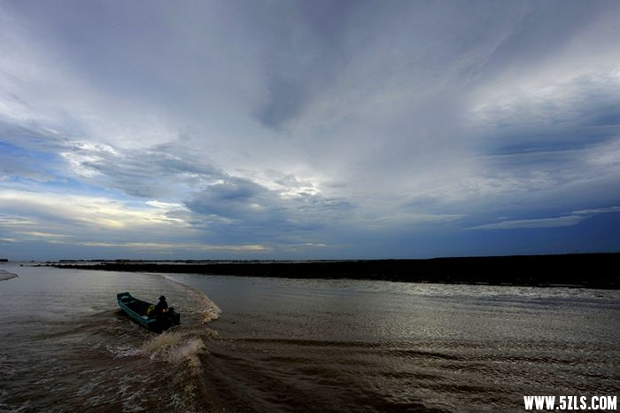 _DSC1896___.jpg