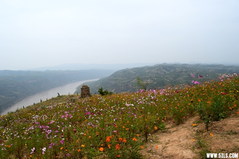 DSC_3710.JPG