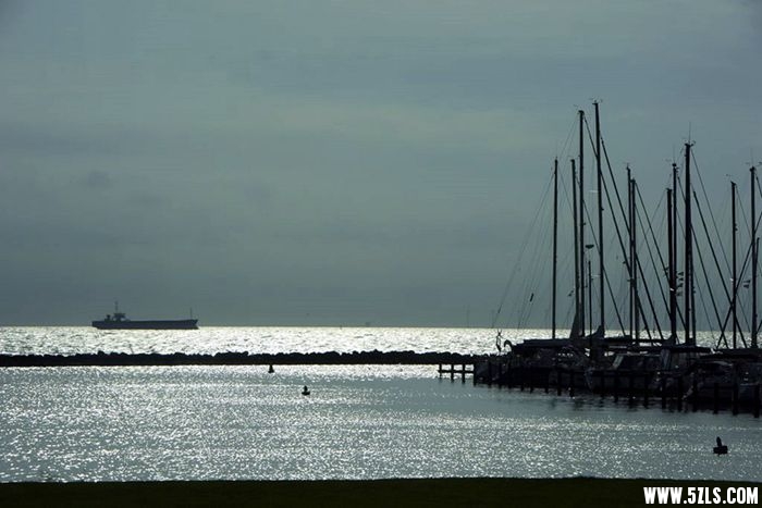 _DSC2606____.jpg