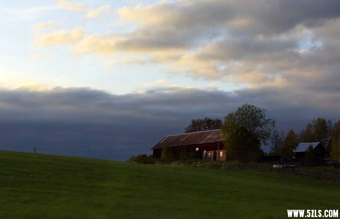 _DSC1603____.jpg