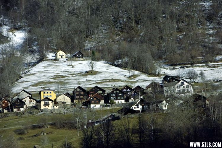 _DSC4803___.jpg