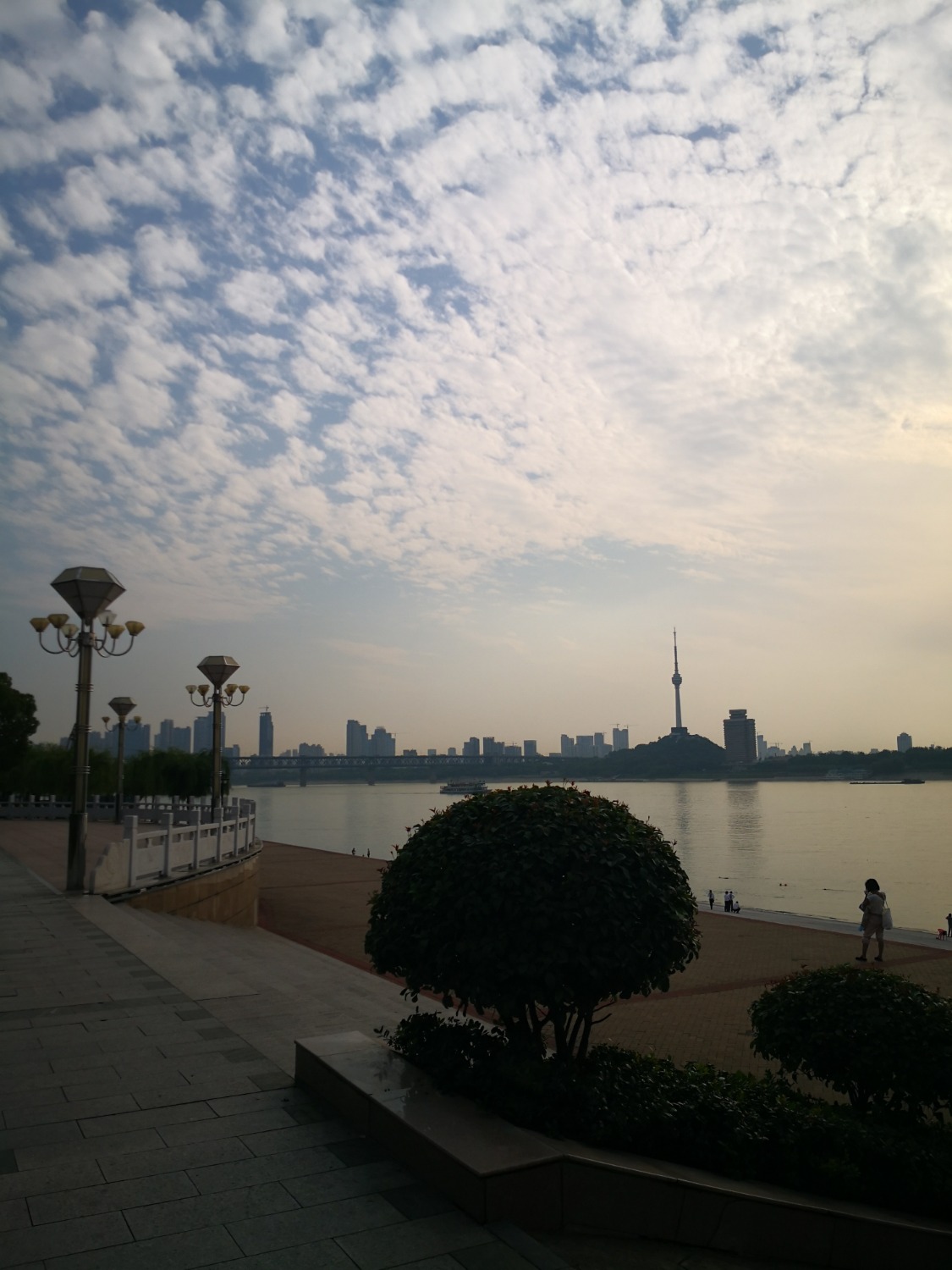 IMG_20200522_173426.jpg