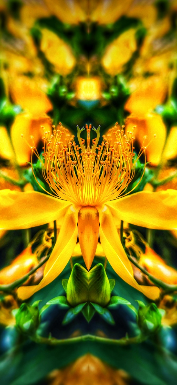 PicsArt_05-23-12.05.34-01.jpeg