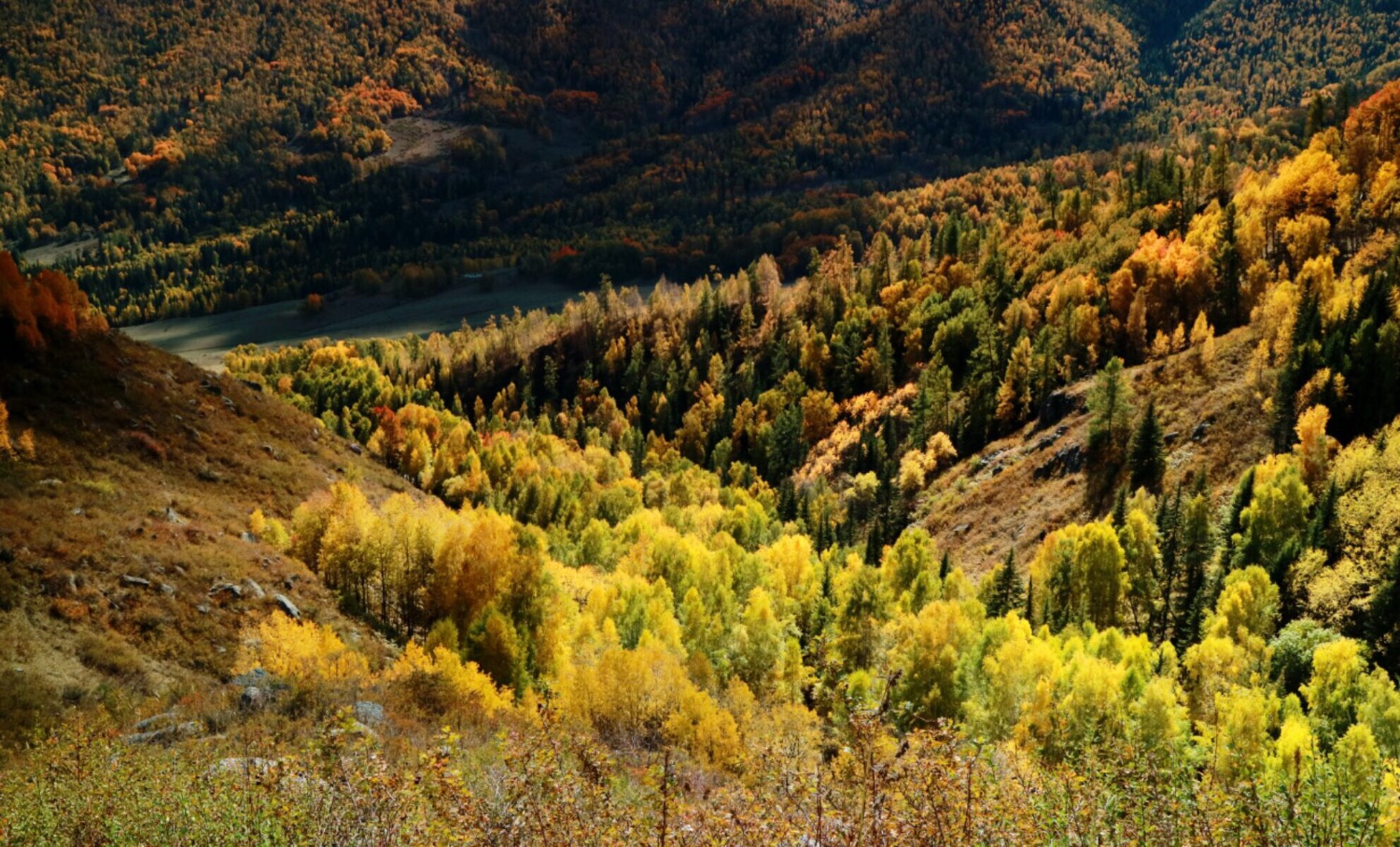 6E129904-B63F-4D8E-B008-F36815AF0390.jpeg