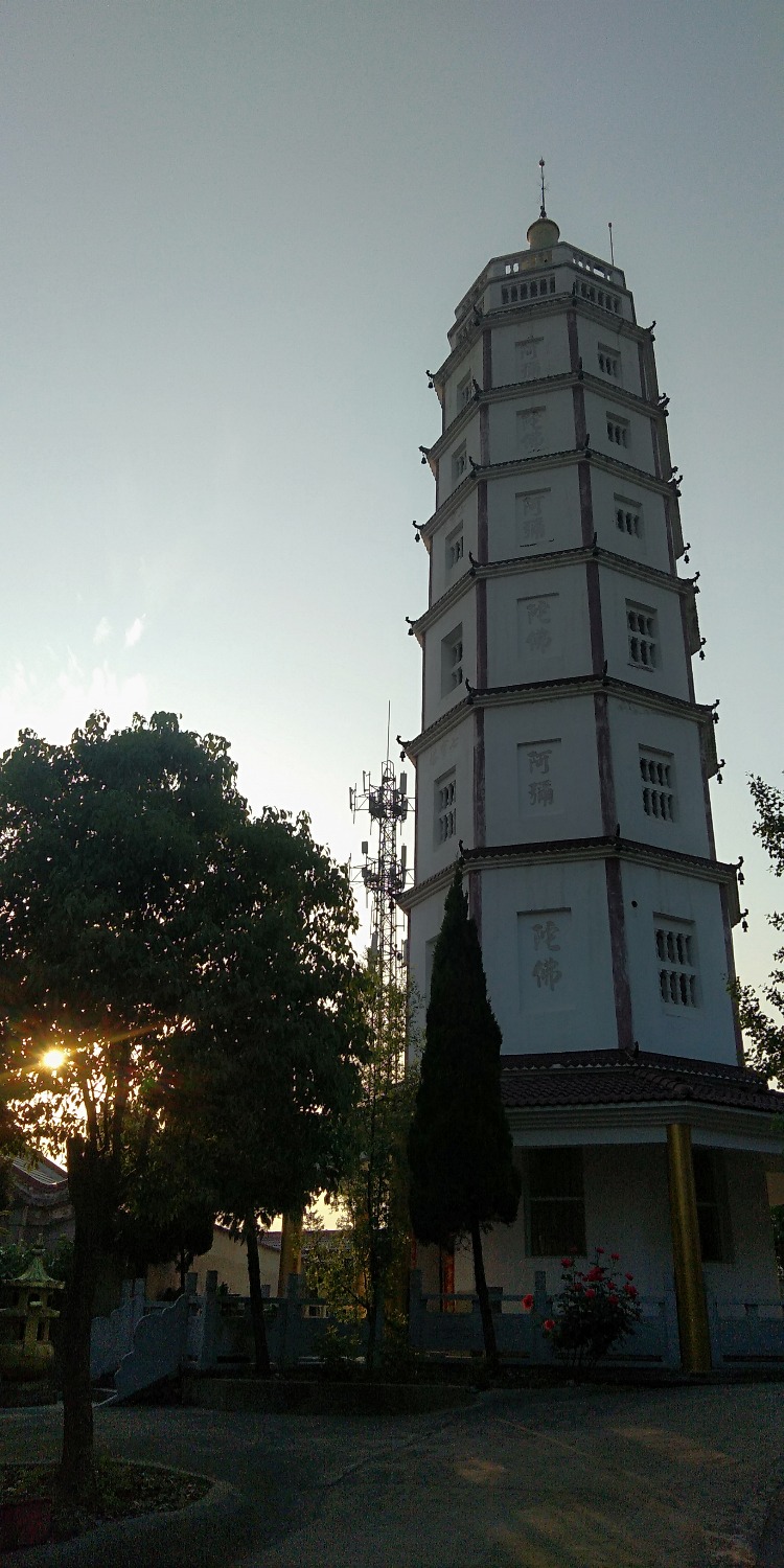 IMG_20200502_180102R.jpg