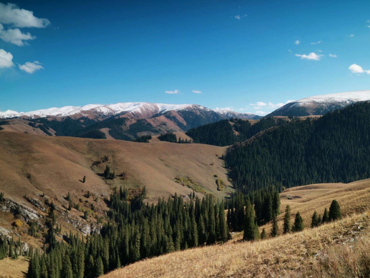 CA1E5A0C-8669-4F1E-90C8-8F549A8C24B5.jpeg