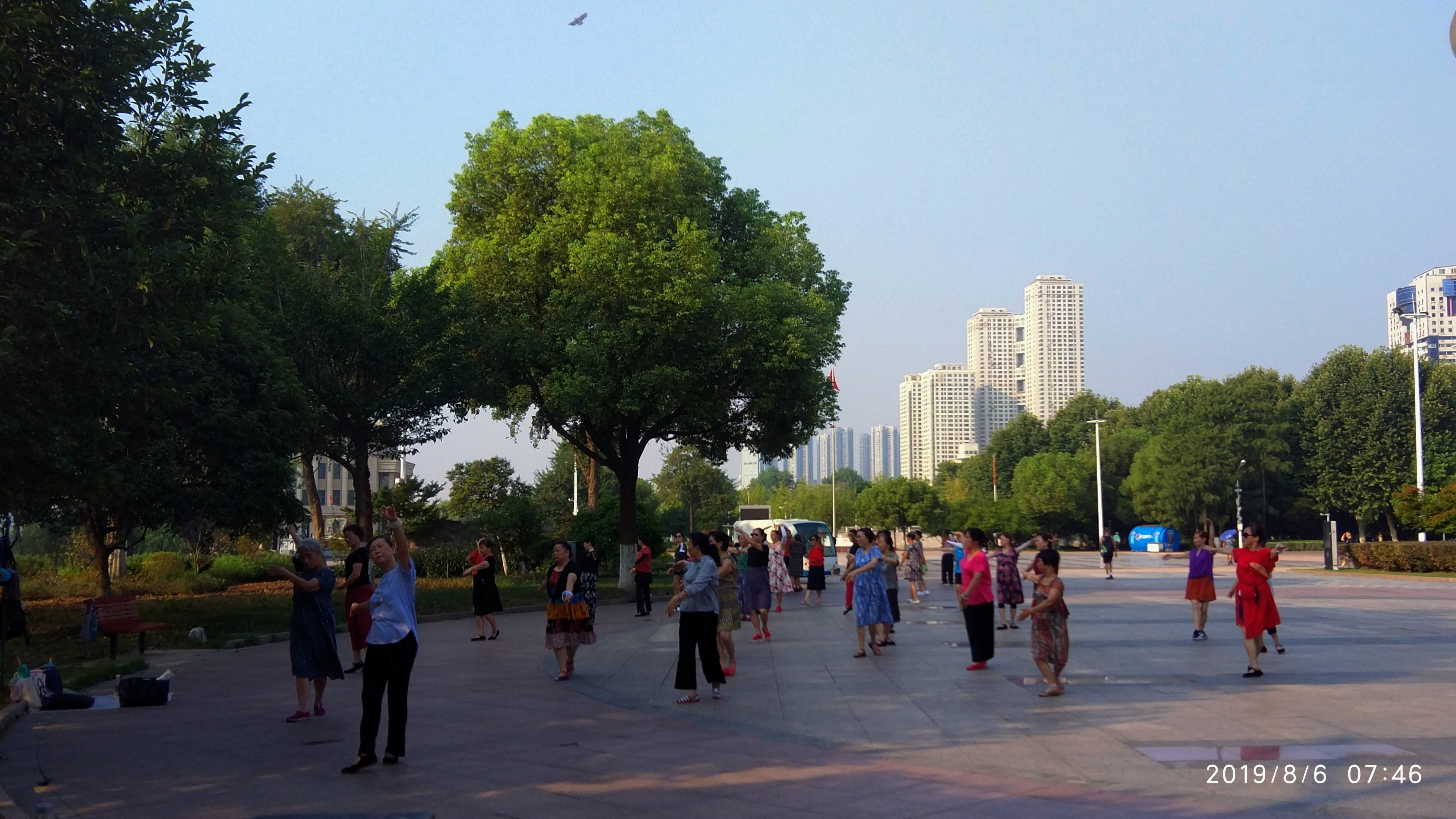 IMG_20190806_074650.jpg