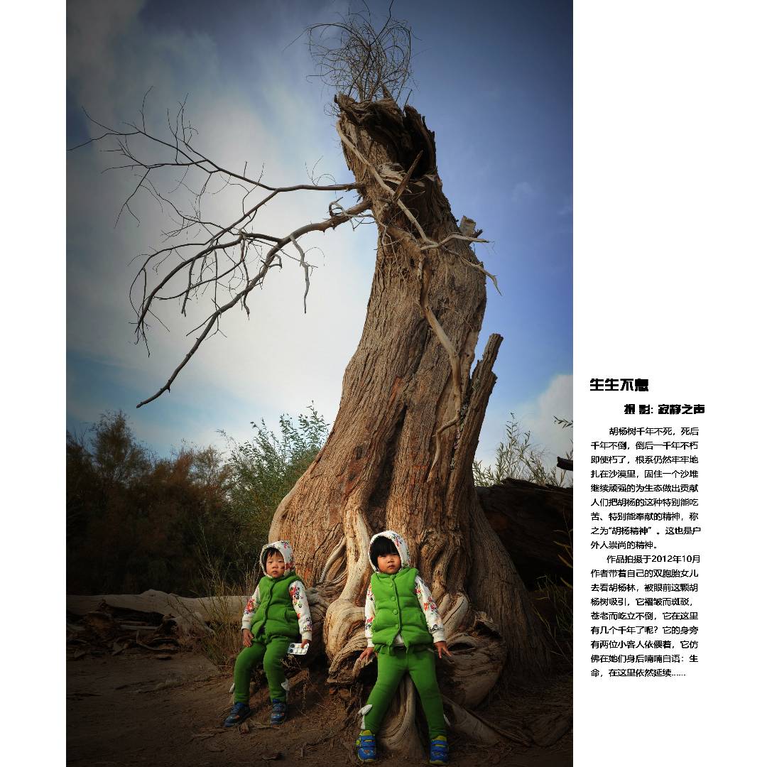 生生不息.jpg