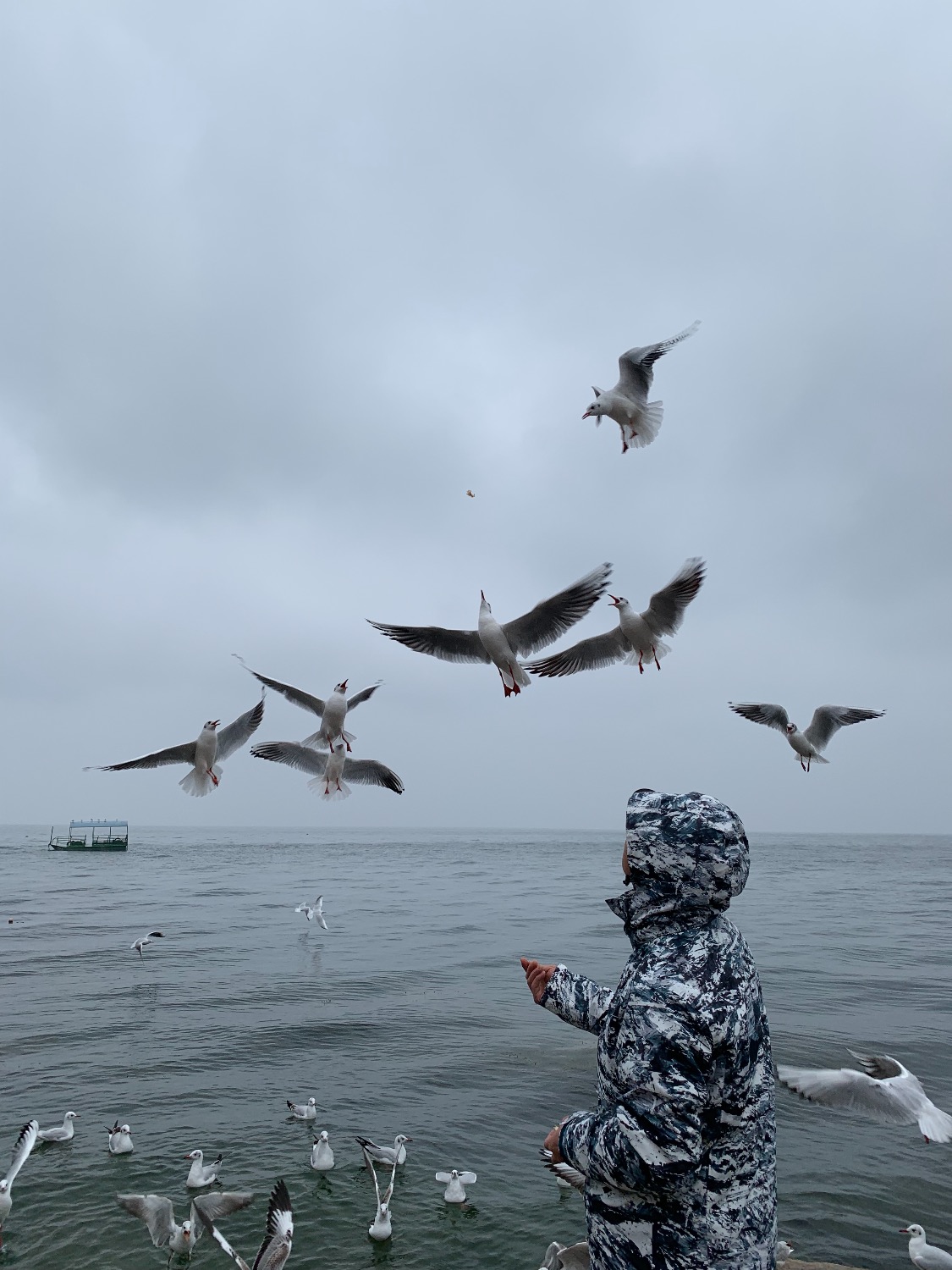 E39C0F8D-3493-42B9-A3F6-9979AB050B4A.jpeg