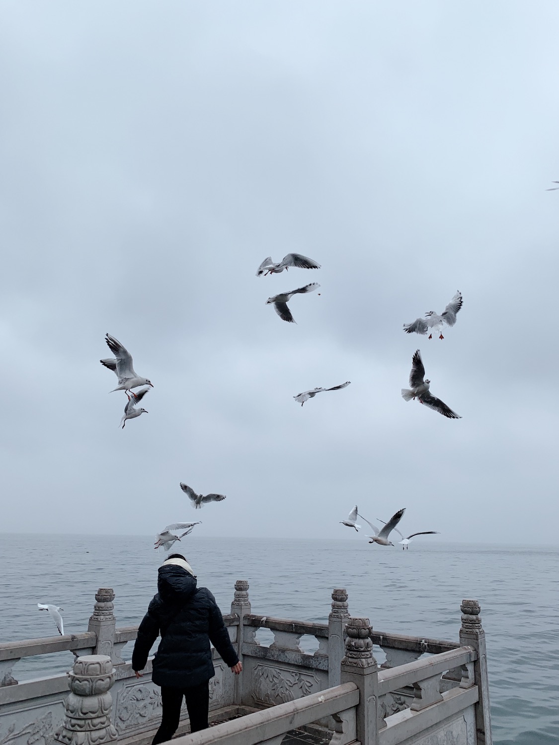 E39C0F8D-3493-42B9-A3F6-9979AB050B4A.jpeg