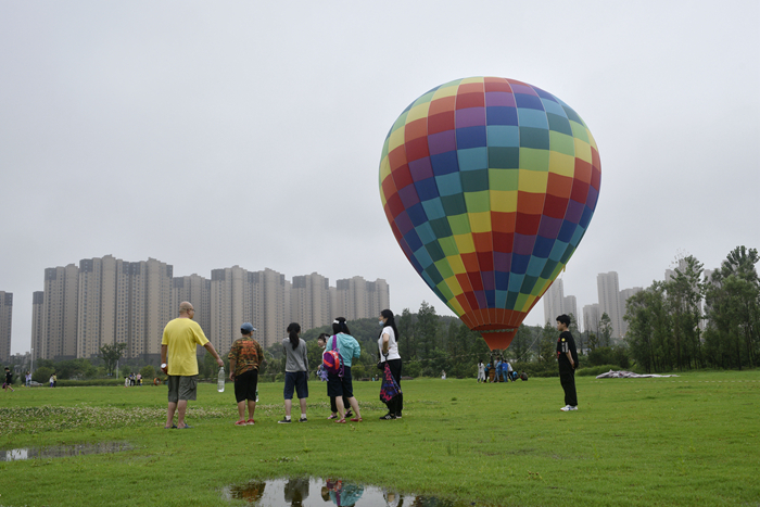 _DSC7993.JPG