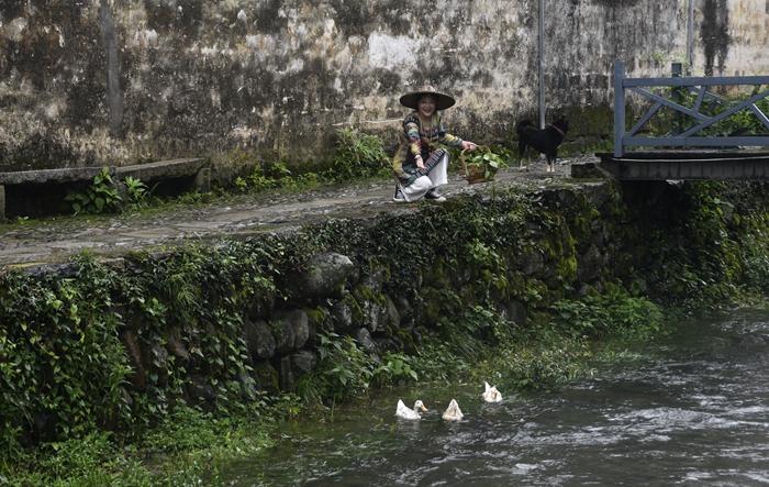 _DSC8683.JPG