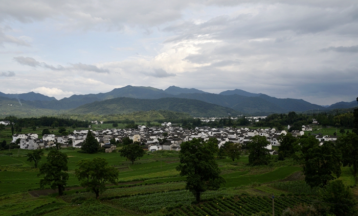 _DSC8553.JPG