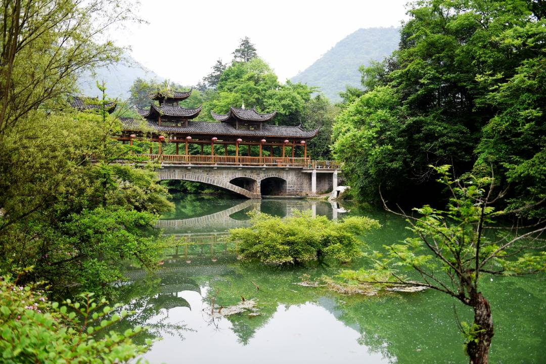 背景 4_副本.jpg