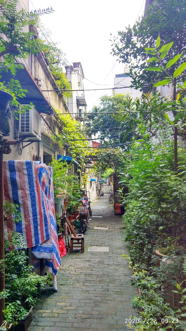 微信图片_20200722101913.jpg