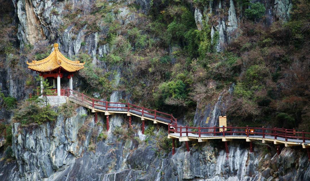 IMG_3504_副本.jpg