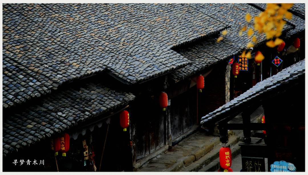 IMG_3884_副本_副本_副本.jpg