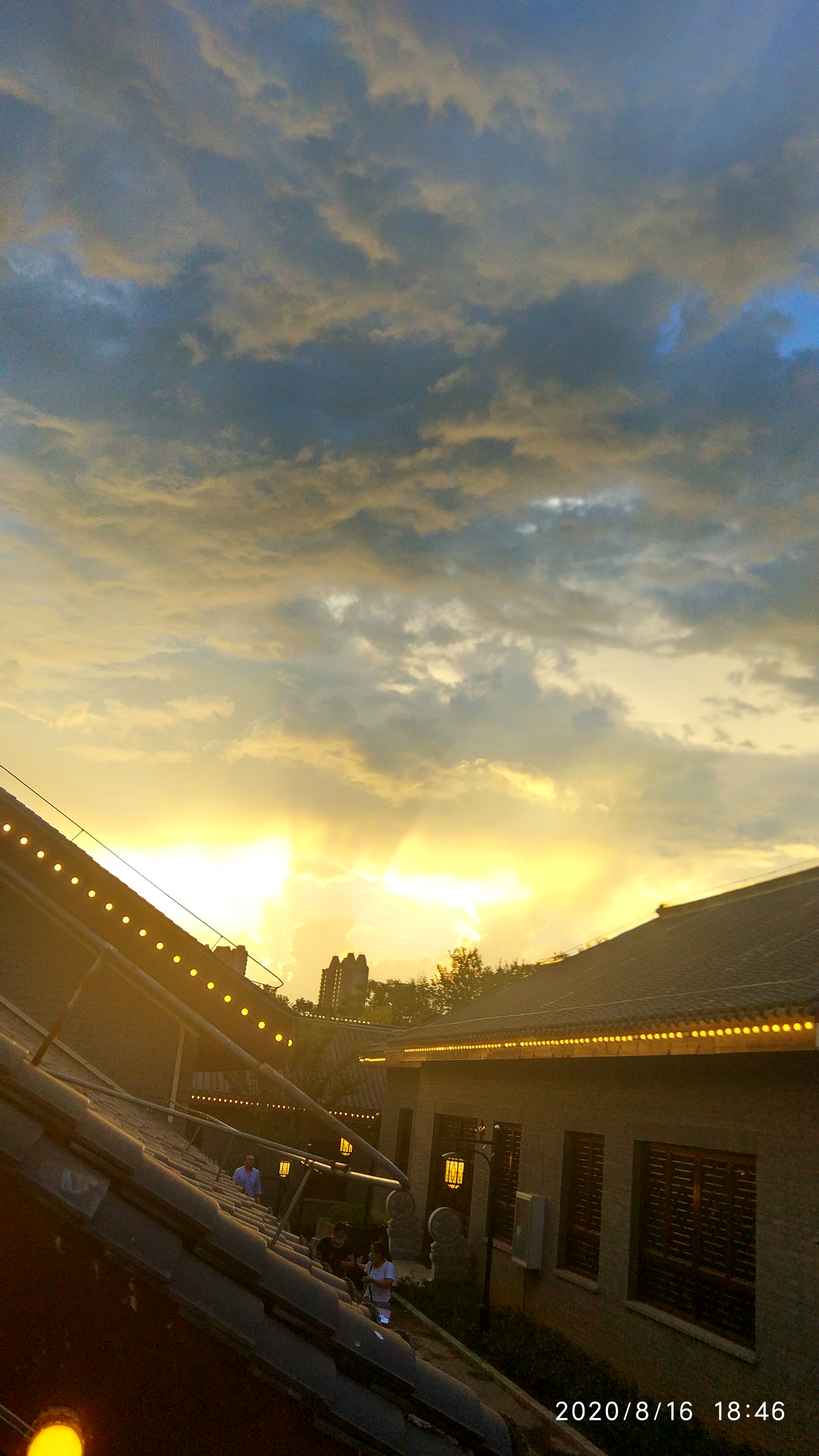 IMG_20200816_184619_HDR.jpg