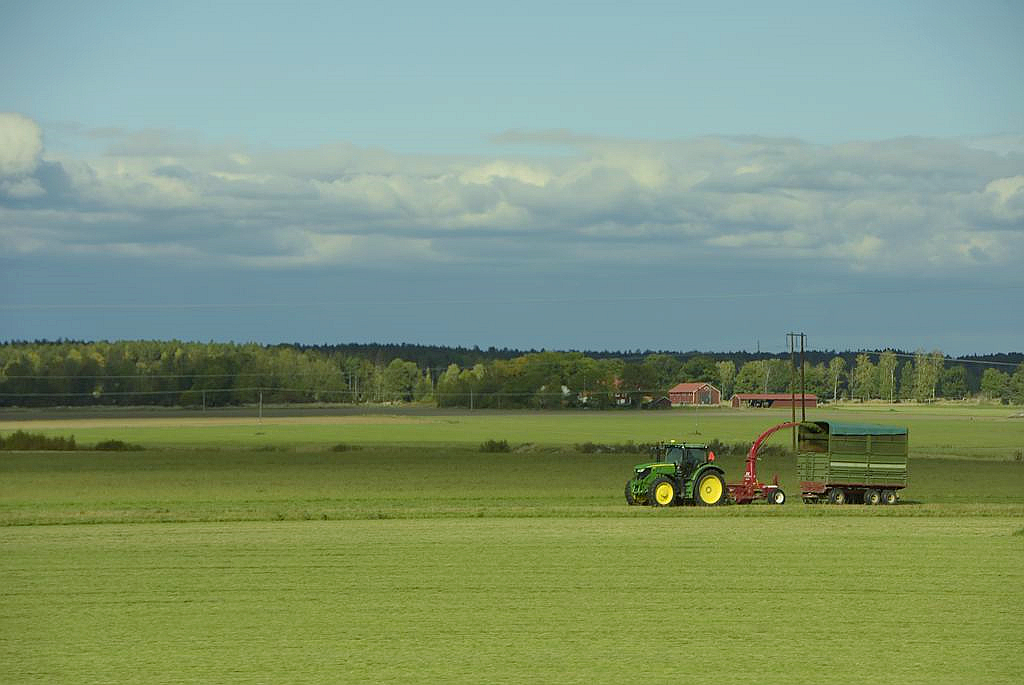 _DSC1495__.jpg