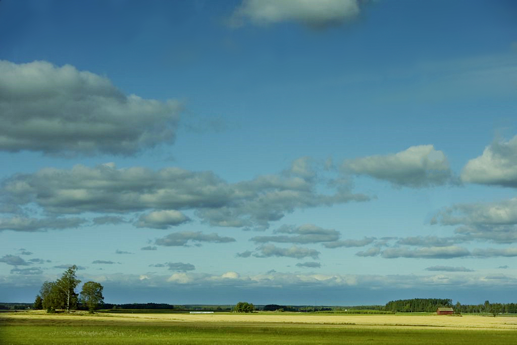_DSC1500__.jpg