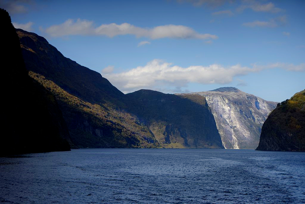 _DSC2242__.jpg