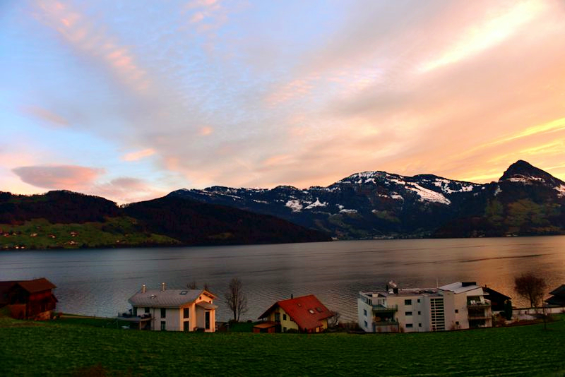 DSC_4974__.jpg